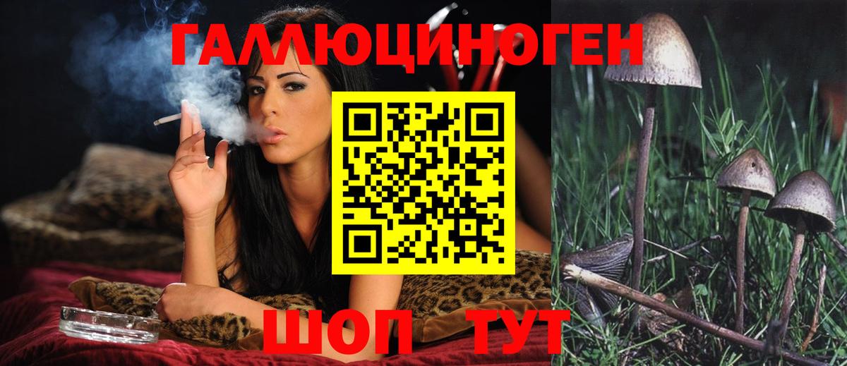 Карабулак  Галлюциногенные грибы MAGIC MUSHROOMS  Вход с VPN 